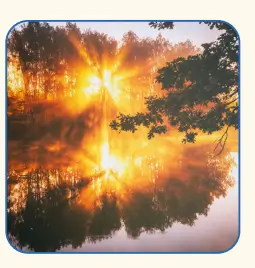 6. Sınıf Fen Bilimleri Ders Kitabı 134-136-137-138-139-140-141. Sayfa Cevapları 1. KİTAP 6. Sınıf Fen Bilimleri Ders Kitabı Sayfa 134 Cevapları MEB Yayınları