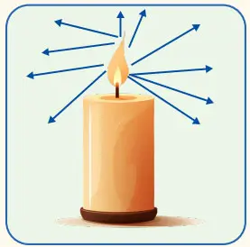 6. Sınıf Fen Bilimleri Ders Kitabı 134-136-137-138-139-140-141. Sayfa Cevapları 1. KİTAP 6. Sınıf Fen Bilimleri Ders Kitabı Sayfa 134 Cevapları MEB Yayınları