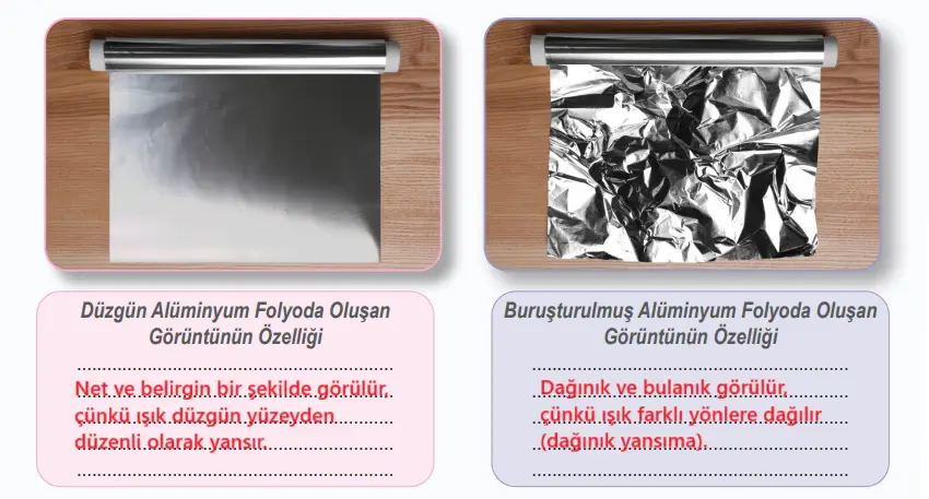 6. Sınıf Fen Bilimleri Ders Kitabı 134-136-137-138-139-140-141. Sayfa Cevapları 1. KİTAP 6. Sınıf Fen Bilimleri Ders Kitabı Sayfa 137 Cevapları MEB Yayınları