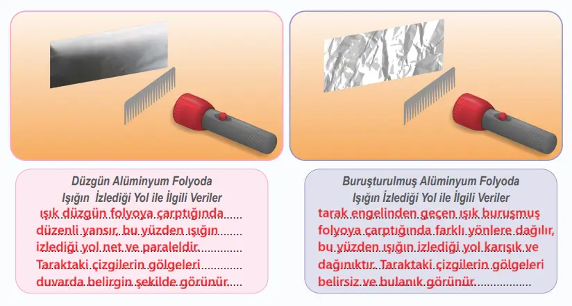 6. Sınıf Fen Bilimleri Ders Kitabı 134-136-137-138-139-140-141. Sayfa Cevapları 1. KİTAP 6. Sınıf Fen Bilimleri Ders Kitabı Sayfa 138 Cevapları MEB Yayınları