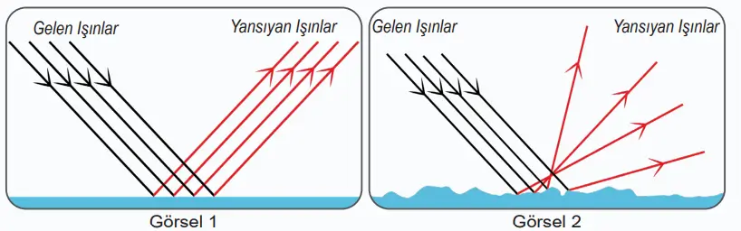 6. Sınıf Fen Bilimleri Ders Kitabı 134-136-137-138-139-140-141. Sayfa Cevapları 1. KİTAP 6. Sınıf Fen Bilimleri Ders Kitabı Sayfa 140 Cevapları MEB Yayınları