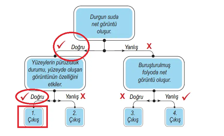 6. Sınıf Fen Bilimleri Ders Kitabı 142-144-145-146-147-148-150-151. Sayfa Cevapları 1. KİTAP 6. Sınıf Fen Bilimleri Ders Kitabı Sayfa 142 Cevapları MEB Yayınları