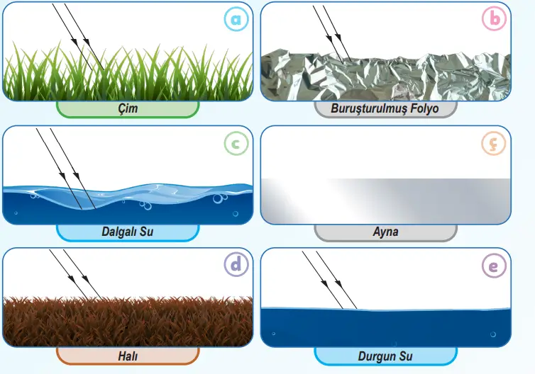6. Sınıf Fen Bilimleri Ders Kitabı 142-144-145-146-147-148-150-151. Sayfa Cevapları 1. KİTAP 6. Sınıf Fen Bilimleri Ders Kitabı Sayfa 144 Cevapları MEB Yayınları