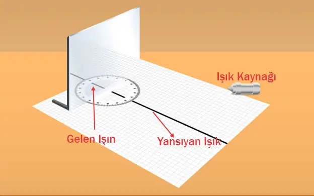 6. Sınıf Fen Bilimleri Ders Kitabı 142-144-145-146-147-148-150-151. Sayfa Cevapları 1. KİTAP 6. Sınıf Fen Bilimleri Ders Kitabı Sayfa 146-147 Cevapları MEB Yayınları