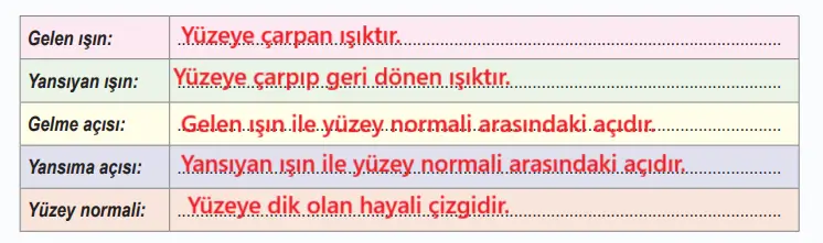 6. Sınıf Fen Bilimleri Ders Kitabı 142-144-145-146-147-148-150-151. Sayfa Cevapları 1. KİTAP 6. Sınıf Fen Bilimleri Ders Kitabı Sayfa 148 Cevapları MEB Yayınları