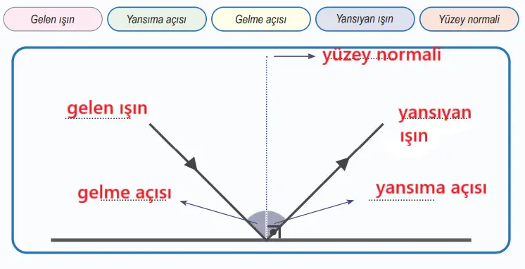 6. Sınıf Fen Bilimleri Ders Kitabı 142-144-145-146-147-148-150-151. Sayfa Cevapları 1. KİTAP 6. Sınıf Fen Bilimleri Ders Kitabı Sayfa 148 Cevapları MEB Yayınları