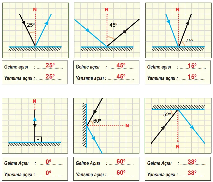 6. Sınıf Fen Bilimleri Ders Kitabı 142-144-145-146-147-148-150-151. Sayfa Cevapları 1. KİTAP 6. Sınıf Fen Bilimleri Ders Kitabı Sayfa 150 Cevapları MEB Yayınları