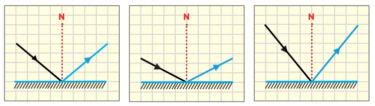 6. Sınıf Fen Bilimleri Ders Kitabı 142-144-145-146-147-148-150-151. Sayfa Cevapları 1. KİTAP 6. Sınıf Fen Bilimleri Ders Kitabı Sayfa 150 Cevapları MEB Yayınları