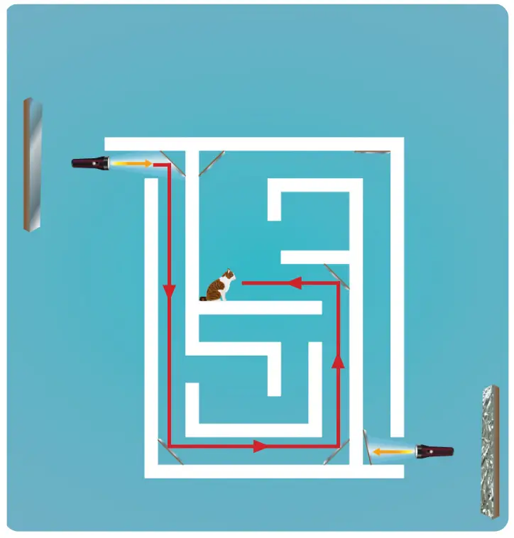 6. Sınıf Fen Bilimleri Ders Kitabı 142-144-145-146-147-148-150-151. Sayfa Cevapları 1. KİTAP 6. Sınıf Fen Bilimleri Ders Kitabı Sayfa 151 Cevapları MEB Yayınları