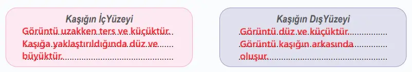 6. Sınıf Fen Bilimleri Ders Kitabı 153-154-155-156-159-160-161. Sayfa Cevapları 1. KİTAP 6. Sınıf Fen Bilimleri Ders Kitabı Sayfa 154 Cevapları MEB Yayınları