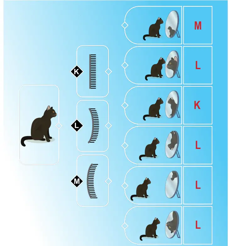 6. Sınıf Fen Bilimleri Ders Kitabı 153-154-155-156-159-160-161. Sayfa Cevapları 1. KİTAP 6. Sınıf Fen Bilimleri Ders Kitabı Sayfa 160 Cevapları MEB Yayınları