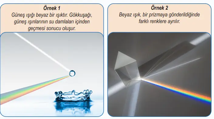 6. Sınıf Fen Bilimleri Ders Kitabı 163-164-165-166-167-168. Sayfa Cevapları 1. KİTAP 6. Sınıf Fen Bilimleri Ders Kitabı Sayfa 167 Cevapları MEB Yayınları