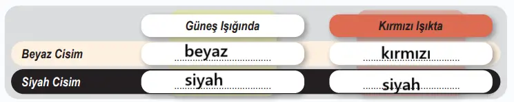 6. Sınıf Fen Bilimleri Ders Kitabı 169-170-171-173-174-175-177. Sayfa Cevapları 1. KİTAP 6. Sınıf Fen Bilimleri Ders Kitabı Sayfa 170 Cevapları MEB Yayınları