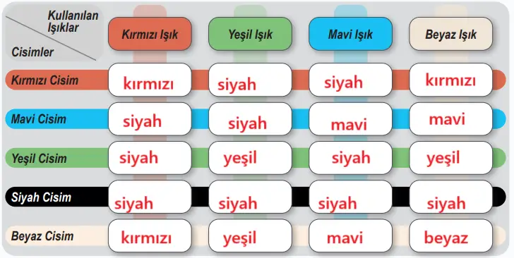 6. Sınıf Fen Bilimleri Ders Kitabı 169-170-171-173-174-175-177. Sayfa Cevapları 1. KİTAP 6. Sınıf Fen Bilimleri Ders Kitabı Sayfa 171 Cevapları MEB Yayınları