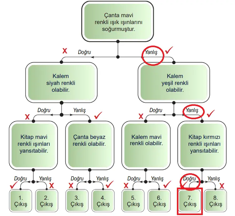 6. Sınıf Fen Bilimleri Ders Kitabı 169-170-171-173-174-175-177. Sayfa Cevapları 1. KİTAP 6. Sınıf Fen Bilimleri Ders Kitabı Sayfa 173 Cevapları MEB Yayınları