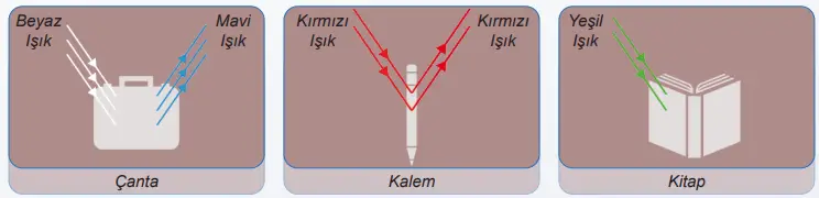 6. Sınıf Fen Bilimleri Ders Kitabı 169-170-171-173-174-175-177. Sayfa Cevapları 1. KİTAP 6. Sınıf Fen Bilimleri Ders Kitabı Sayfa 173 Cevapları MEB Yayınları