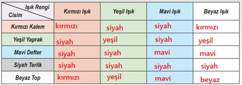 6. Sınıf Fen Bilimleri Ders Kitabı 169-170-171-173-174-175-177. Sayfa Cevapları 1. KİTAP 6. Sınıf Fen Bilimleri Ders Kitabı Sayfa 174 Cevapları MEB Yayınları