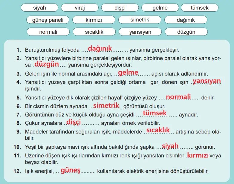 6. Sınıf Fen Bilimleri Ders Kitabı 179-180-181. Sayfa Cevapları 1. KİTAP 6. Sınıf Fen Bilimleri Ders Kitabı Sayfa 179 Cevapları MEB Yayınları
