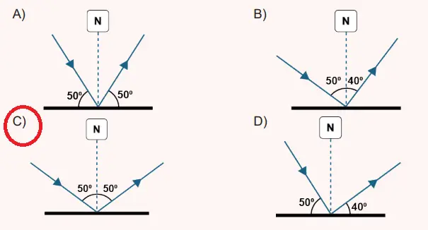 6. Sınıf Fen Bilimleri Ders Kitabı 179-180-181. Sayfa Cevapları 1. KİTAP 6. Sınıf Fen Bilimleri Ders Kitabı Sayfa 180 Cevapları MEB Yayınları