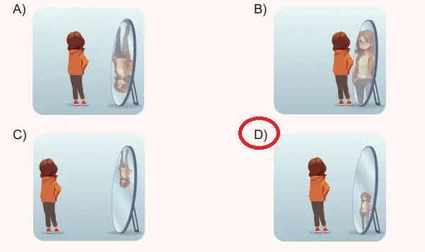 6. Sınıf Fen Bilimleri Ders Kitabı 179-180-181. Sayfa Cevapları 1. KİTAP 6. Sınıf Fen Bilimleri Ders Kitabı Sayfa 181 Cevapları MEB Yayınları