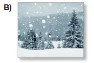 6. Sınıf İngilizce Ders Kitabı Sayfa 70 Cevapları ÖZGÜN YayıncılıkQ