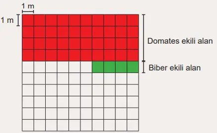6. Sınıf Matematik Ders Kitabı 120-121-122-123-124-125-126-127. Sayfa Cevapları 1. KİTAP 6. Sınıf Matematik Ders Kitabı Sayfa 125 Cevapları MEB Yayınları