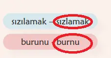 6. Sınıf Türkçe Ders Kitabı Sayfa 129 Cevapları MEB Yayınları