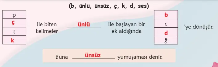 6. Sınıf Türkçe Ders Kitabı Sayfa 141 Cevapları MEB Yayınları