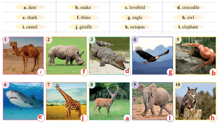 7. Sınıf İngilizce Ders Kitabı 60-61-62-63-64-65-66-67. Sayfa Cevapları SDR İpekyolu Yayıncılık 7. Sınıf İngilizce Ders Kitabı Sayfa 60 Cevapları SDR İpekyolu Yayıncılık