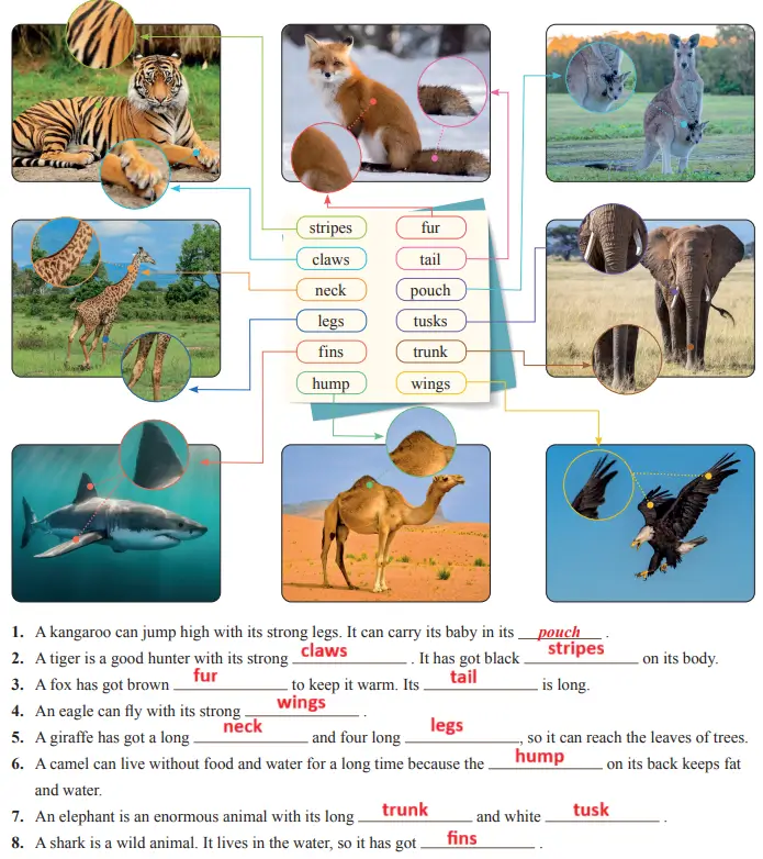 7. Sınıf İngilizce Ders Kitabı 60-61-62-63-64-65-66-67. Sayfa Cevapları SDR İpekyolu Yayıncılık 7. Sınıf İngilizce Ders Kitabı Sayfa 64 Cevapları SDR İpekyolu Yayıncılık1