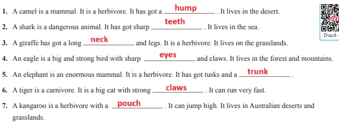 7. Sınıf İngilizce Ders Kitabı 60-61-62-63-64-65-66-67. Sayfa Cevapları SDR İpekyolu Yayıncılık 7. Sınıf İngilizce Ders Kitabı Sayfa 65 Cevapları SDR İpekyolu Yayıncılık