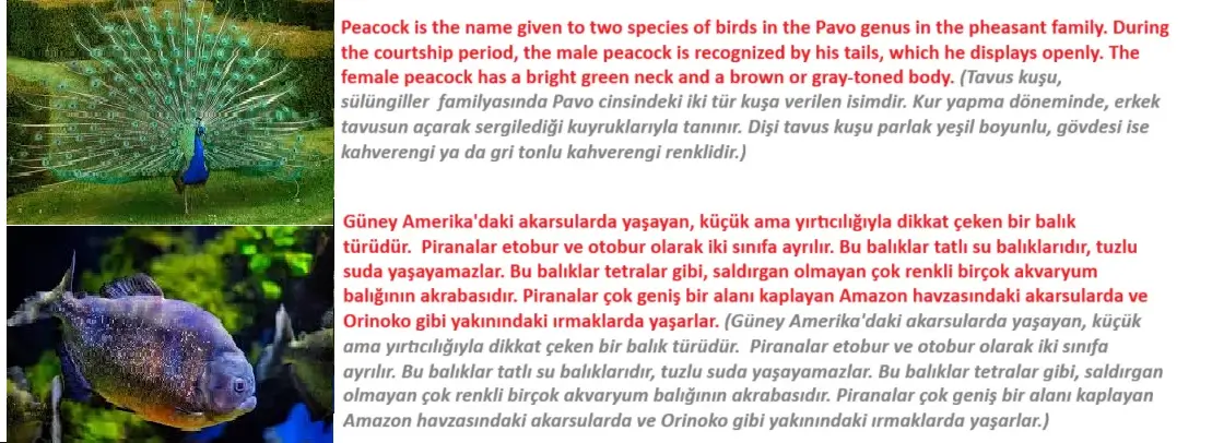 7. Sınıf İngilizce Ders Kitabı 60-61-62-63-64-65-66-67. Sayfa Cevapları SDR İpekyolu Yayıncılık 7. Sınıf İngilizce Ders Kitabı Sayfa 65 Cevapları SDR İpekyolu Yayıncılık1