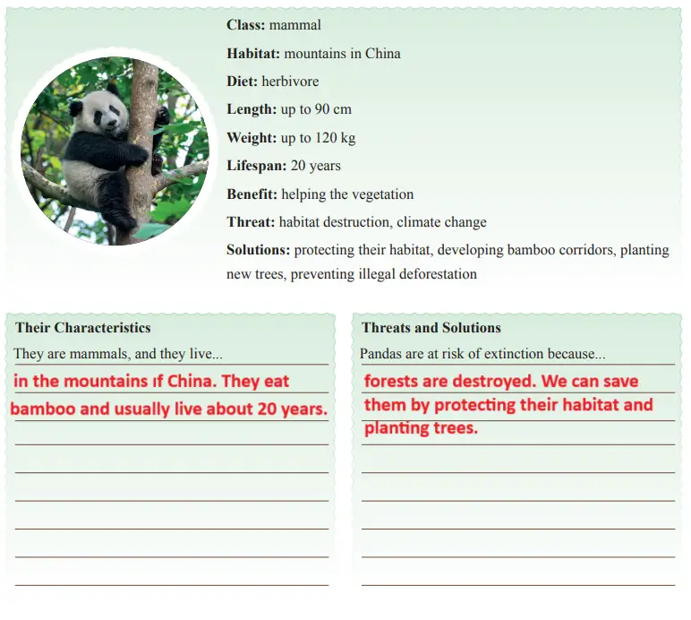 7. Sınıf İngilizce Ders Kitabı 68-69-70-71-72-73-74. Sayfa Cevapları SDR İpekyolu Yayıncılık 7. Sınıf İngilizce Ders Kitabı Sayfa 68 Cevapları SDR İpekyolu Yayıncılık