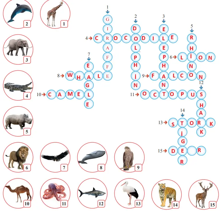 7. Sınıf İngilizce Ders Kitabı 68-69-70-71-72-73-74. Sayfa Cevapları SDR İpekyolu Yayıncılık 7. Sınıf İngilizce Ders Kitabı Sayfa 69 Cevapları SDR İpekyolu Yayıncılık1