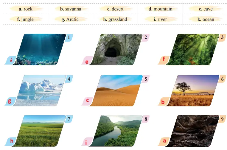 7. Sınıf İngilizce Ders Kitabı 68-69-70-71-72-73-74. Sayfa Cevapları SDR İpekyolu Yayıncılık 7. Sınıf İngilizce Ders Kitabı Sayfa 72 Cevapları SDR İpekyolu Yayıncılık