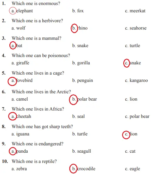 7. Sınıf İngilizce Ders Kitabı 68-69-70-71-72-73-74. Sayfa Cevapları SDR İpekyolu Yayıncılık 7. Sınıf İngilizce Ders Kitabı Sayfa 73 Cevapları SDR İpekyolu Yayıncılık