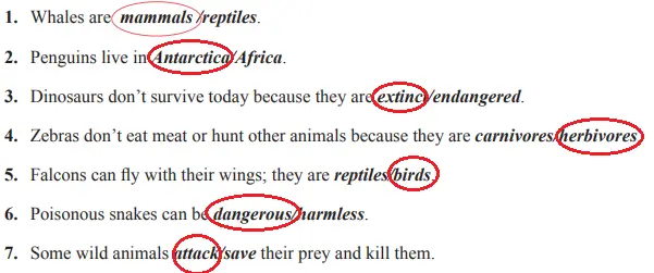 7. Sınıf İngilizce Ders Kitabı 68-69-70-71-72-73-74. Sayfa Cevapları SDR İpekyolu Yayıncılık 7. Sınıf İngilizce Ders Kitabı Sayfa 74 Cevapları SDR İpekyolu Yayıncılık1