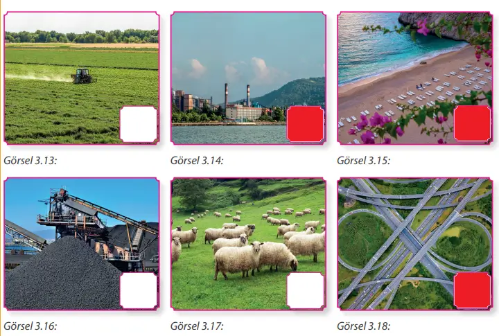 7. Sınıf Sosyal Bilgiler Ders Kitabı Sayfa 118 Cevapları MEB Yayınları