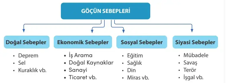 7. Sınıf Sosyal Bilgiler Ders Kitabı Sayfa 135 Cevapları MEB Yayınları