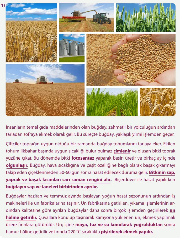 8. Sınıf Fen Bilimleri Ders Kitabı Sayfa 116-117-118-119-120-122-123. Cevapları MEB Yayınları 8. Sınıf Fen Bilimleri Ders Kitabı Sayfa 122-123 Cevapları MEB Yayınları