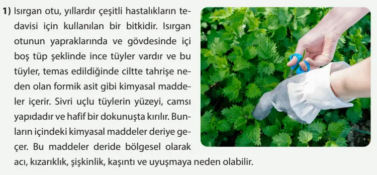 8. Sınıf Fen Bilimleri Ders Kitabı Sayfa 162-163-164-165-166-167. Cevapları MEB Yayınları 8. Sınıf Fen Bilimleri Ders Kitabı Sayfa 163 Cevapları MEB Yayınları