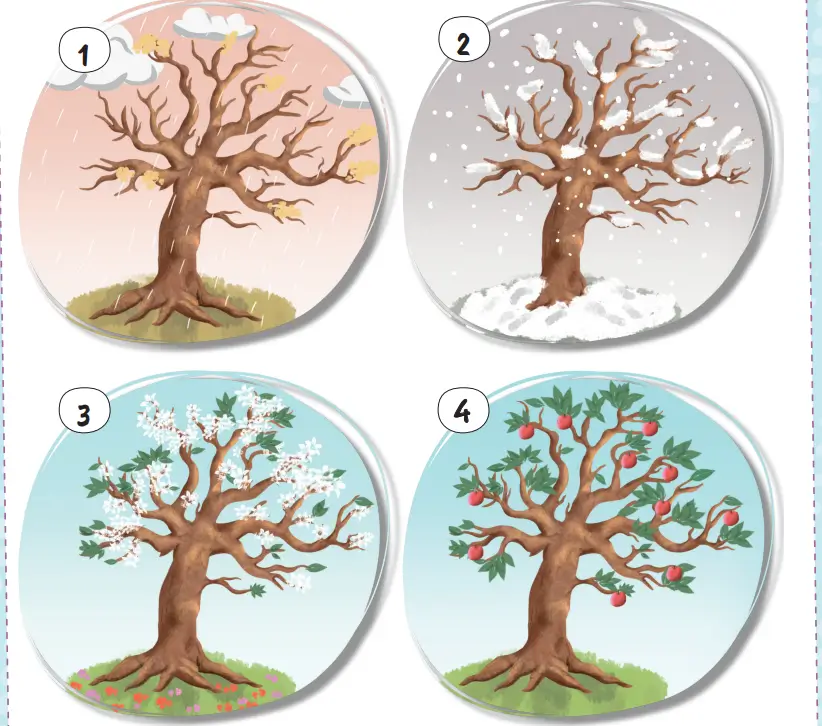 2. Sınıf Hayat Bilgisi Ders Kitabı 52-53-56-57-58-59. Sayfa Cevapları 2. KİTAP 2. Sınıf Hayat Bilgisi Ders Kitabı Sayfa 52 Cevapları MEB Yayınları