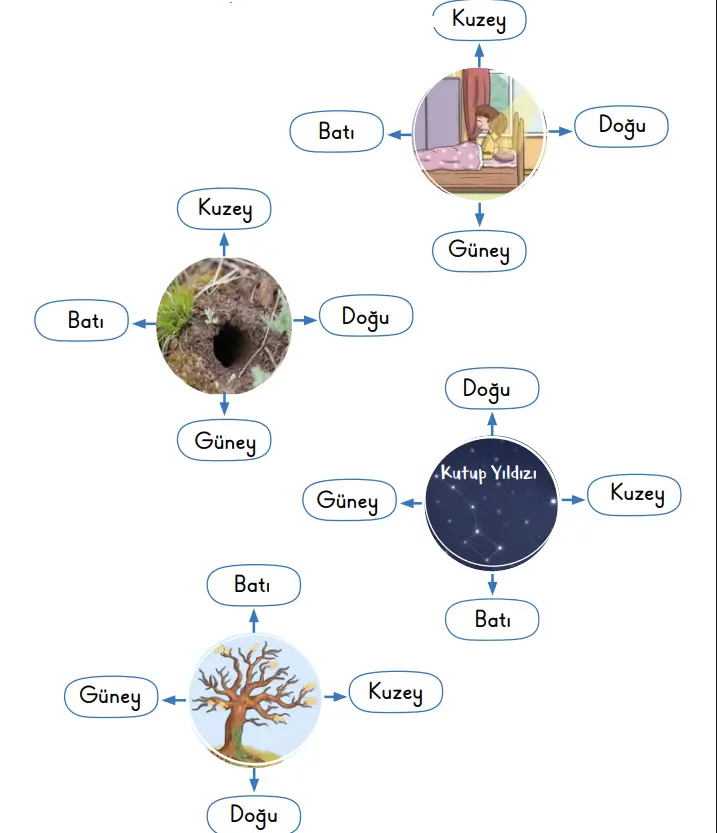 2. Sınıf Hayat Bilgisi Ders Kitabı Sayfa 67 Cevapları MEB Yayınları