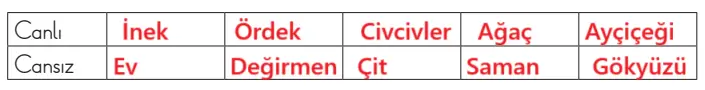 3. Sınıf Fen Bilimleri Ders Kitabı Sayfa 183-184-186-187-188-189. Cevapları CEM Yayıncılık 3. Sınıf Fen Bilimleri Ders Kitabı Sayfa 186 Cevapları CEM Yayıncılık
