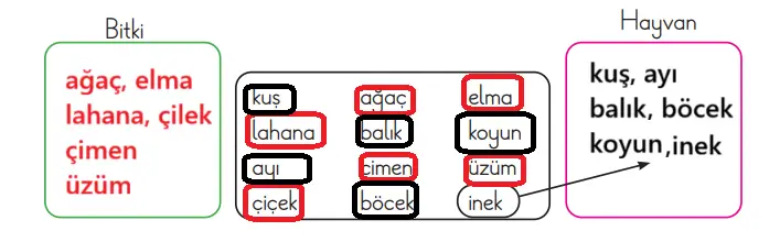 3. Sınıf Fen Bilimleri Ders Kitabı Sayfa 183-184-186-187-188-189. Cevapları CEM Yayıncılık 3. Sınıf Fen Bilimleri Ders Kitabı Sayfa 189 Cevapları CEM Yayıncılık