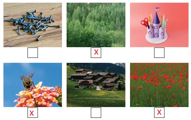 3. Sınıf Fen Bilimleri Ders Kitabı Sayfa 183-184-186-187-188-189. Cevapları CEM Yayıncılık 3. Sınıf Fen Bilimleri Ders Kitabı Sayfa 189 Cevapları CEM Yayıncılık