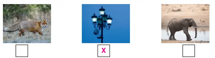 3. Sınıf Fen Bilimleri Ders Kitabı Sayfa 212 Cevapları CEM Yayıncılık