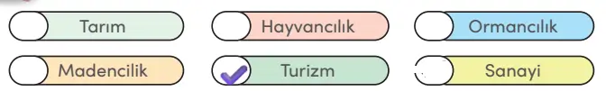 4. Sınıf Sosyal Bilgiler Ders Kitabı 122-123-125-126. Sayfa Cevapları MEB Yayınları 4. Sınıf Sosyal Bilgiler Ders Kitabı Sayfa 126 Cevapları MEB Yayınları