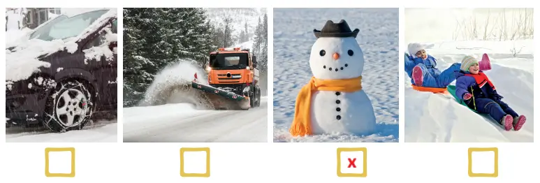 4. Sınıf Türkçe Ders Kitabı Sayfa 169 Cevapları ADA Yayıncılık