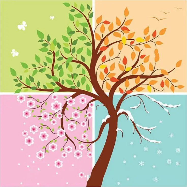 4. Sınıf Türkçe Ders Kitabı Sayfa 170 Cevapları ADA Yayıncılık